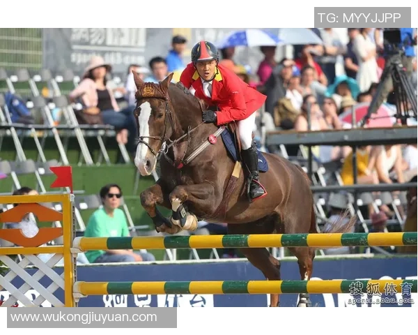 中国马术组合奥运首秀震撼全场成功晋级决赛展现中国力量与风采